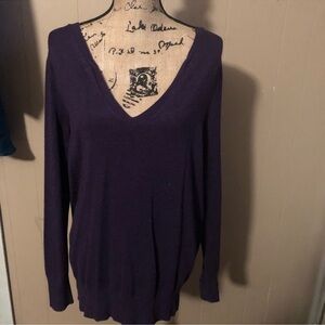 LANE BRYANT  Women's Sz 14/16, Purple V-Neck Sweater, Long Sleeves, Rayon/Nylon